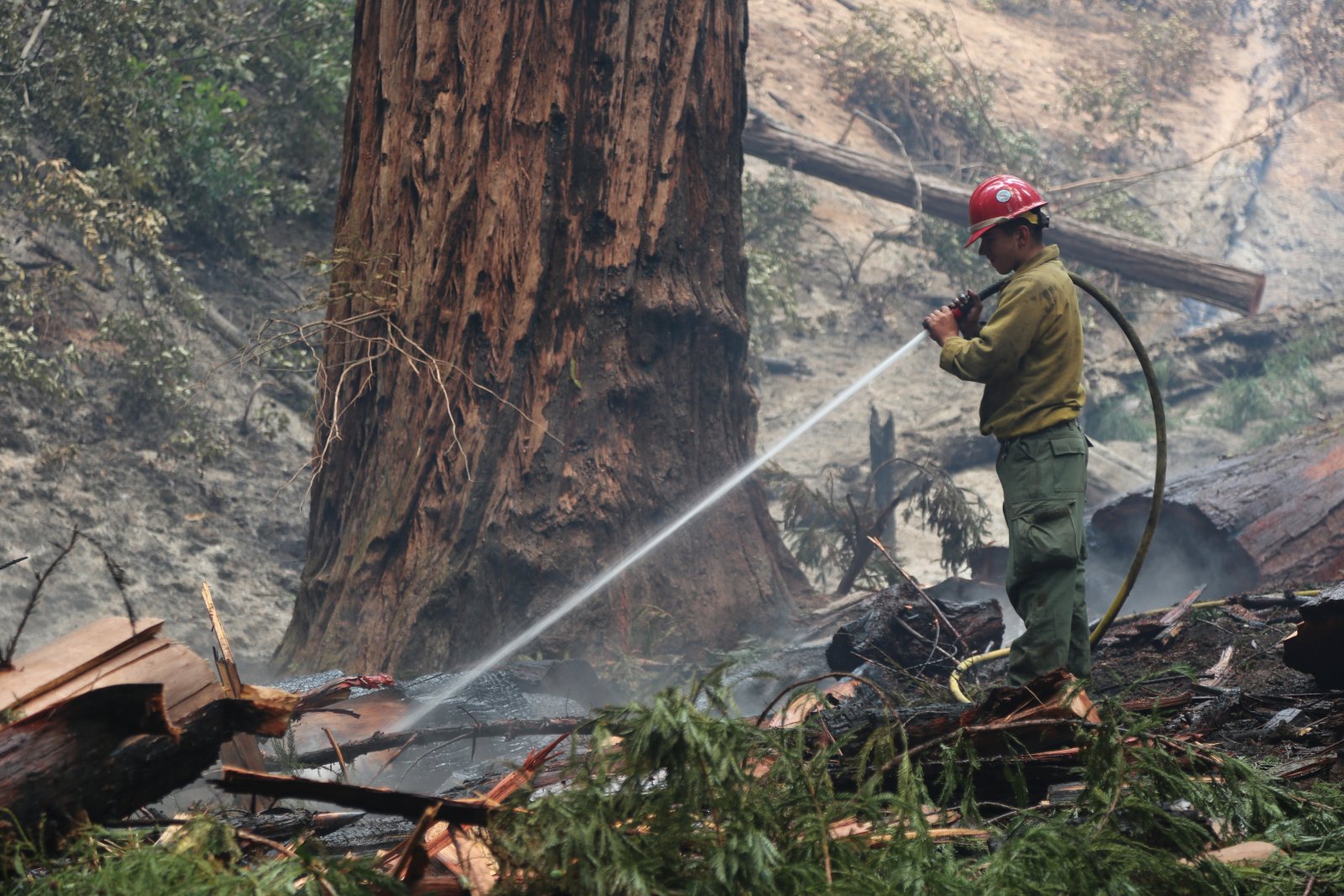 Soberanes Fire Boyscouts of Silicon Valley