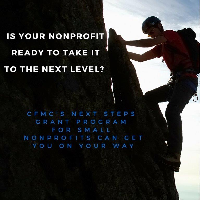 Next Steps for Small Nonprofits