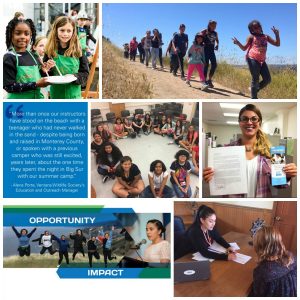 Community Impact Grantees 2017