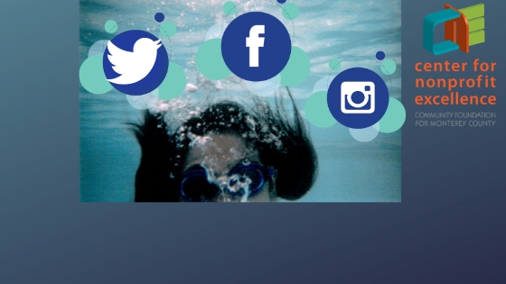 Keeping Your Head Above Social Media Waters