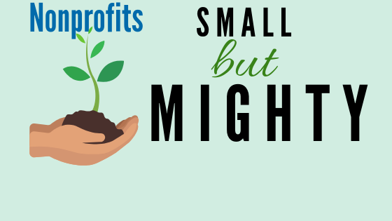 Supporting the Small But Mighty: Capacity Building for Smaller Nonprofits