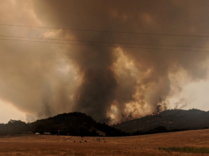 Carmel Valley Fire