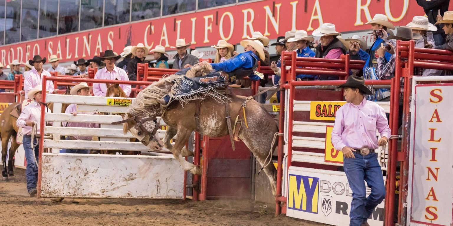 California Rodeo Salinas Scholarship Fund Community Foundation for