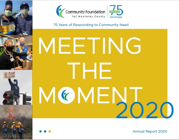 Meeting the Moment – 2020 Annual Report