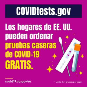 Free Tests 1 Spanish