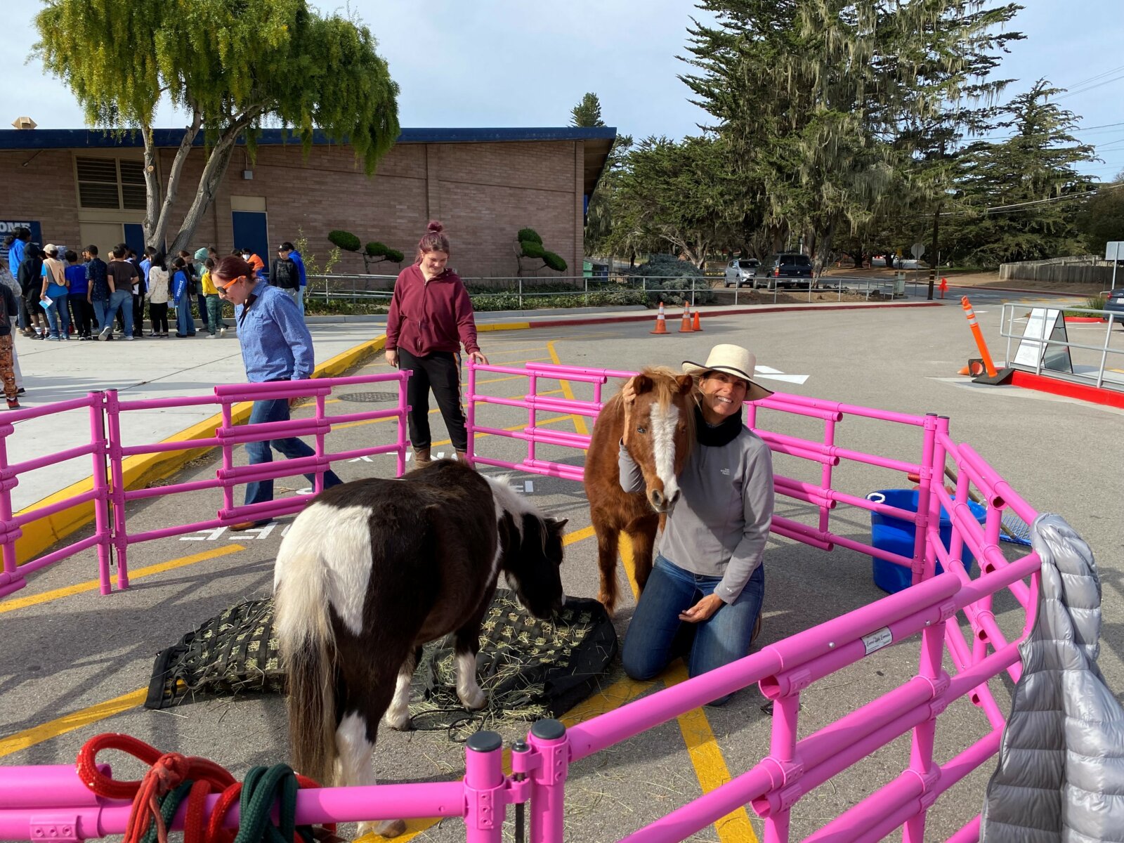 The Equine Healing Collaborative Stewardship Fund Community