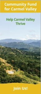 CFCV Brochure Image