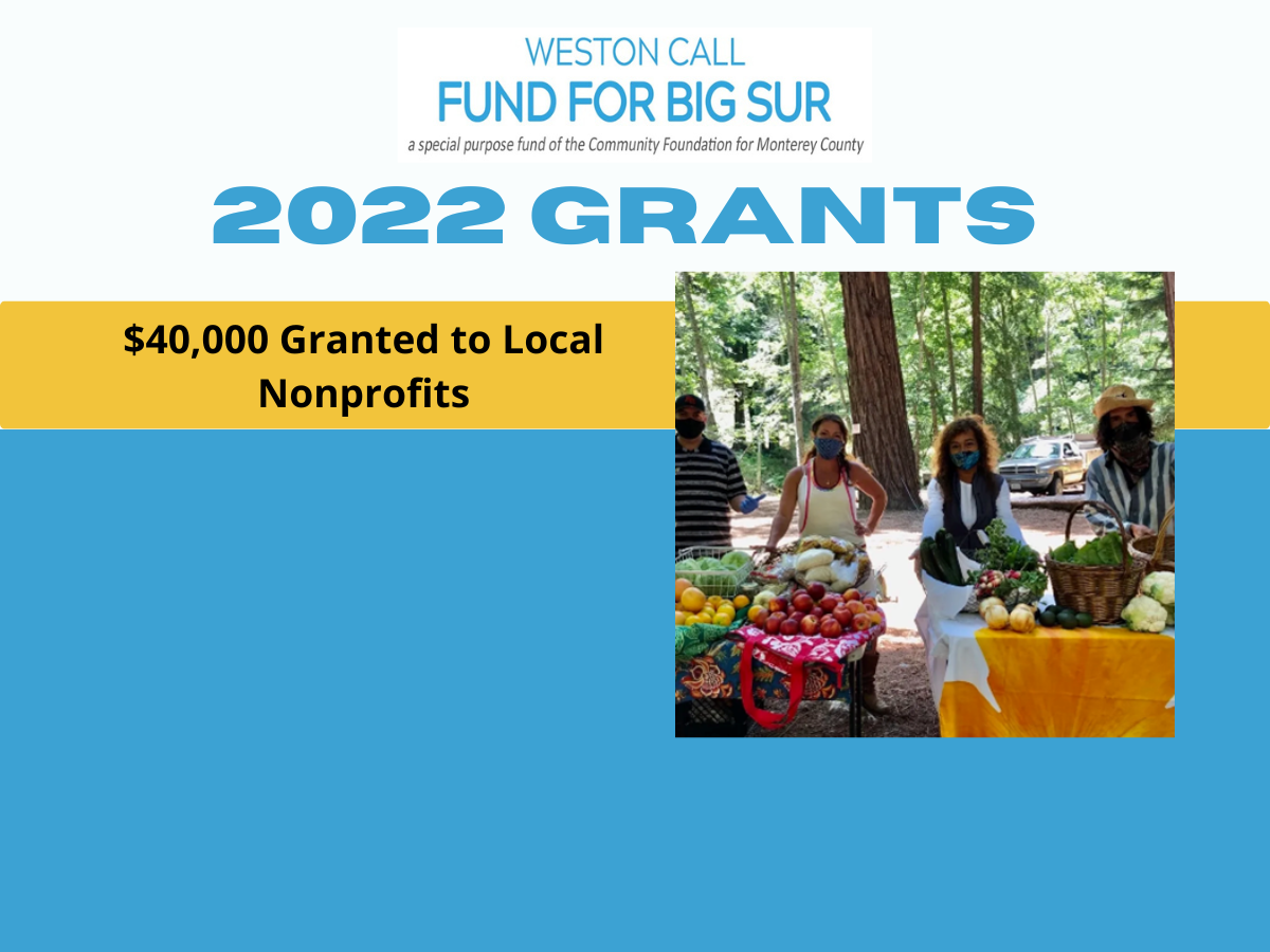 The Weston Call Fund for Big Sur Grants $40,000 to Nonprofits Serving Big Sur Area